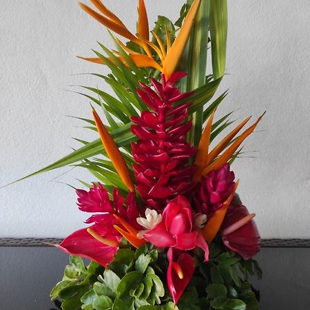 Espace Nature 97115 Sainte-Rose Luaran gambar