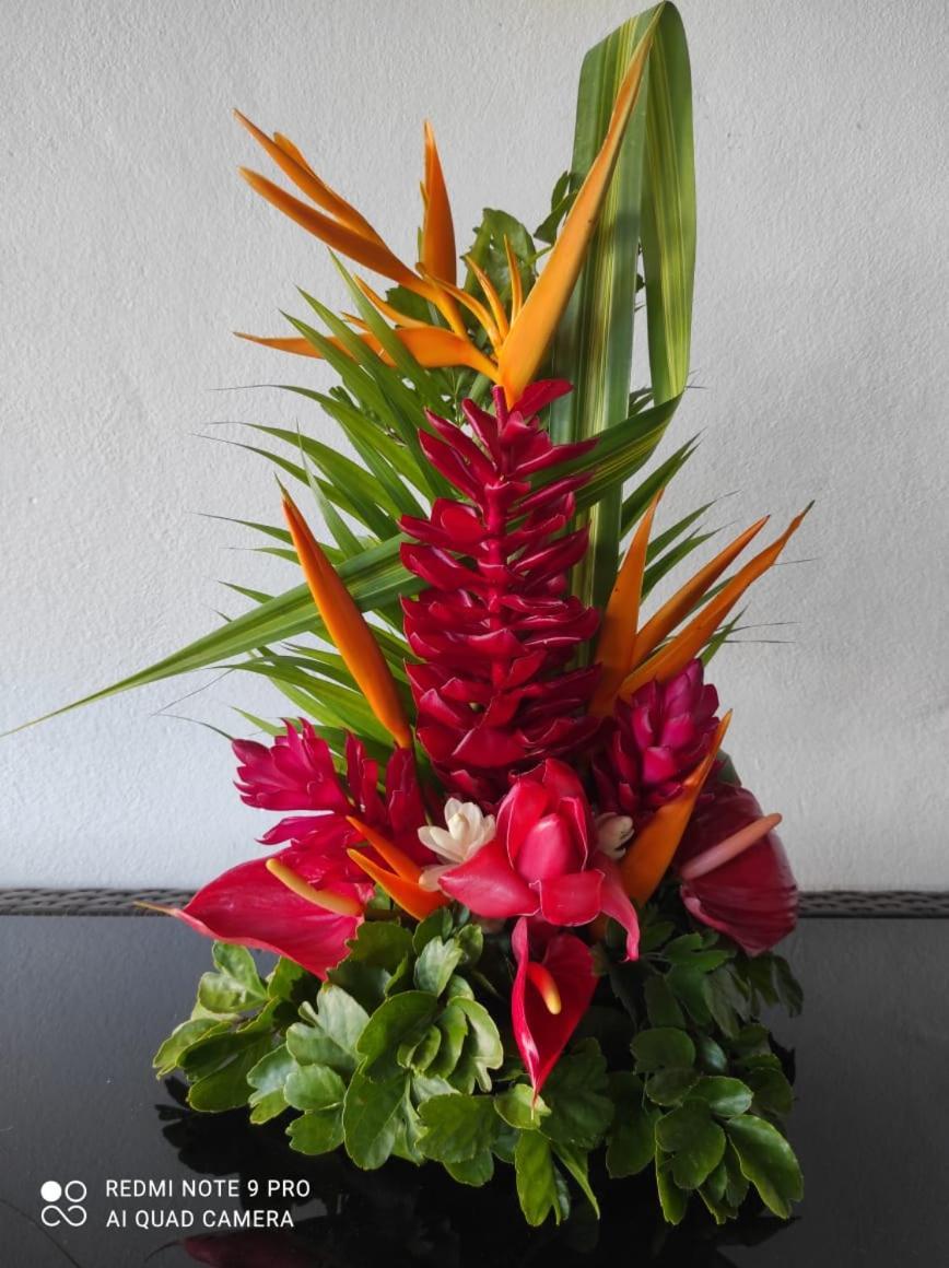 Espace Nature 97115 Sainte-Rose Luaran gambar