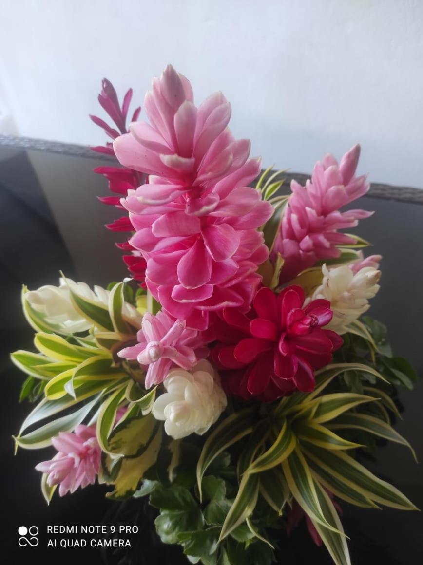 Espace Nature 97115 Sainte-Rose Luaran gambar