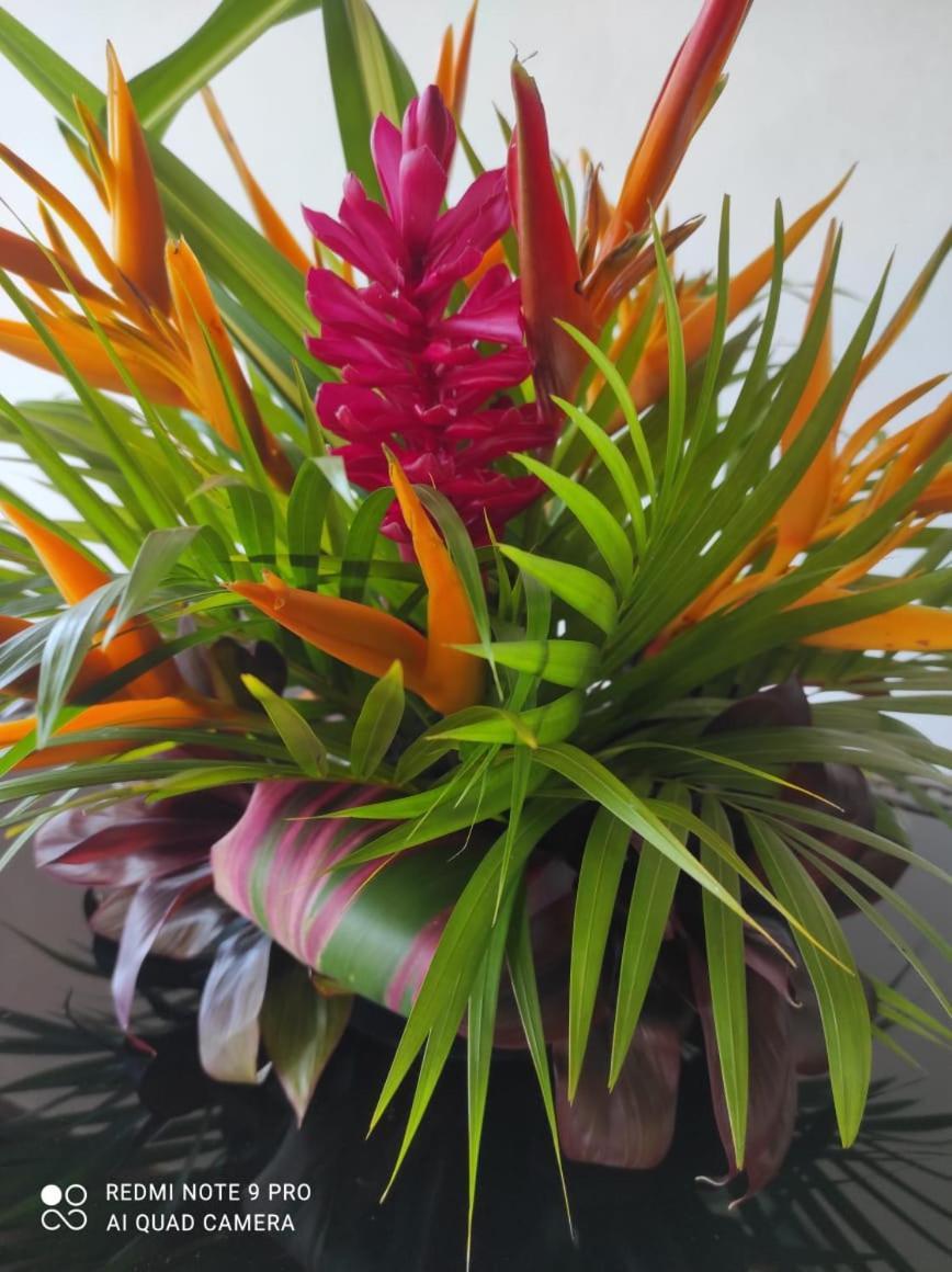 Espace Nature 97115 Sainte-Rose Luaran gambar